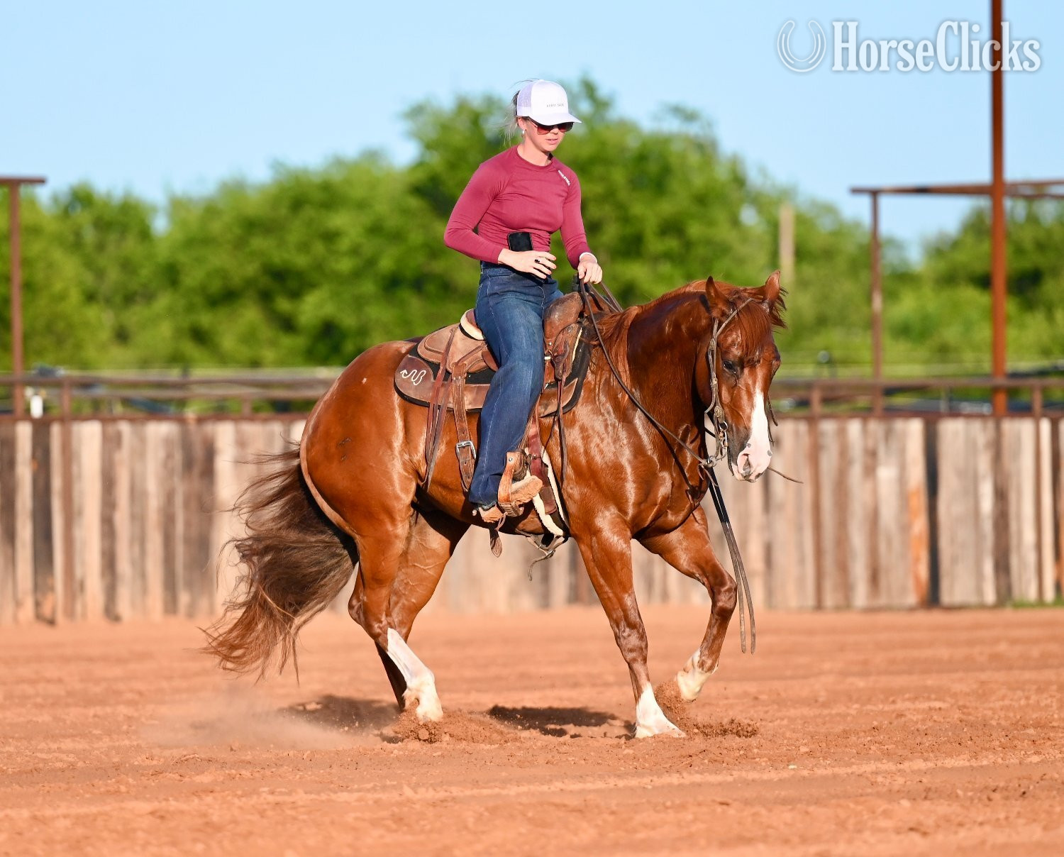 "Pac-Man" Sorrel Gelding Quarter Horse Texas