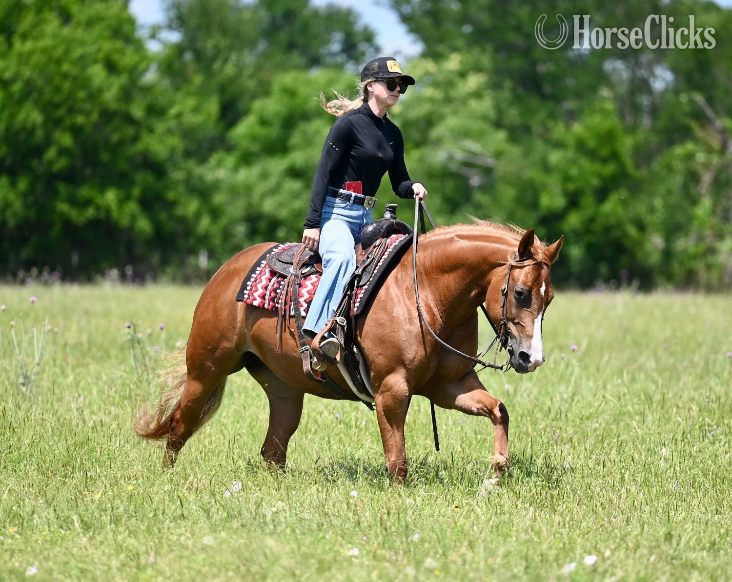 Quarter Horse - "Pac-Man" Sorrel Gelding Quarter Horse in Texas