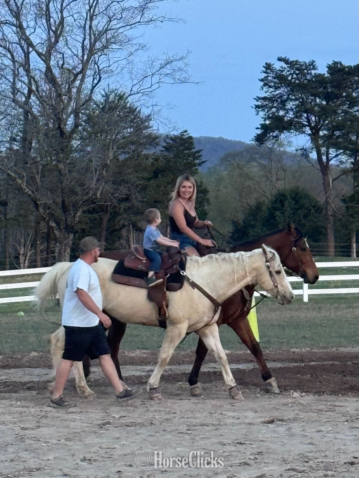 "Unforgettably Smooth" Palomino Gelding Quarter Horse - Quarter Horse