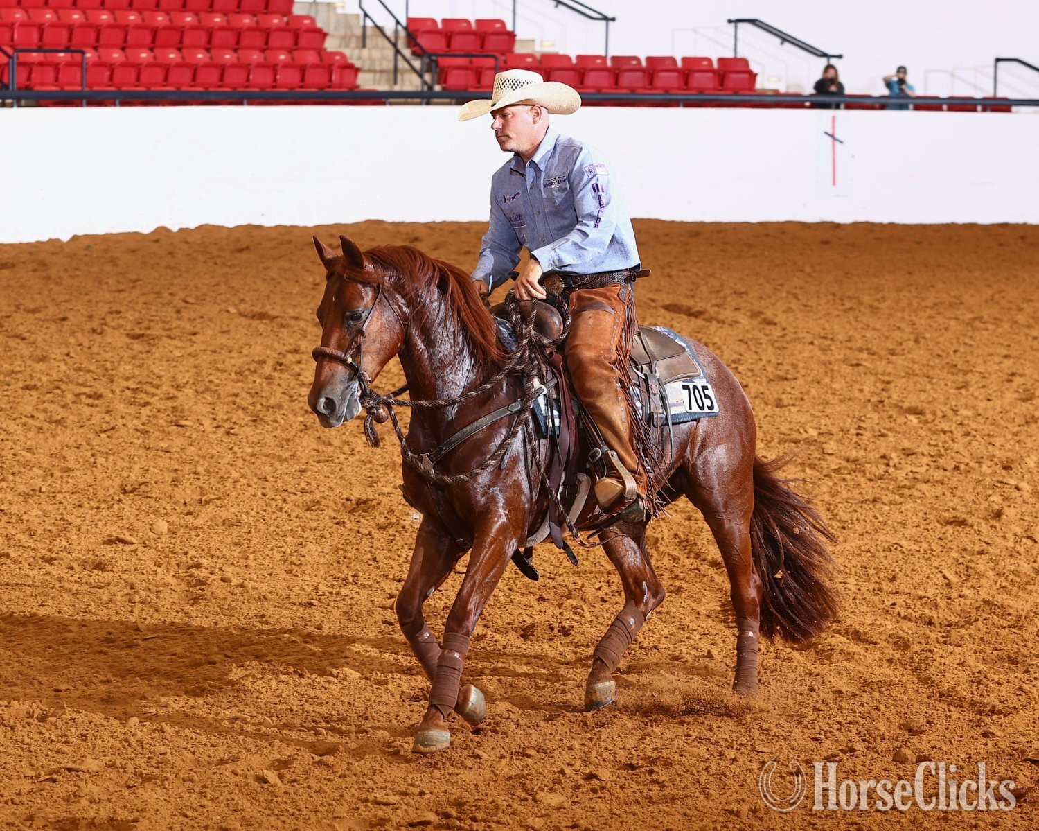 "Diamond " Sorrel Mare Quarter Horse - Quarter Horse