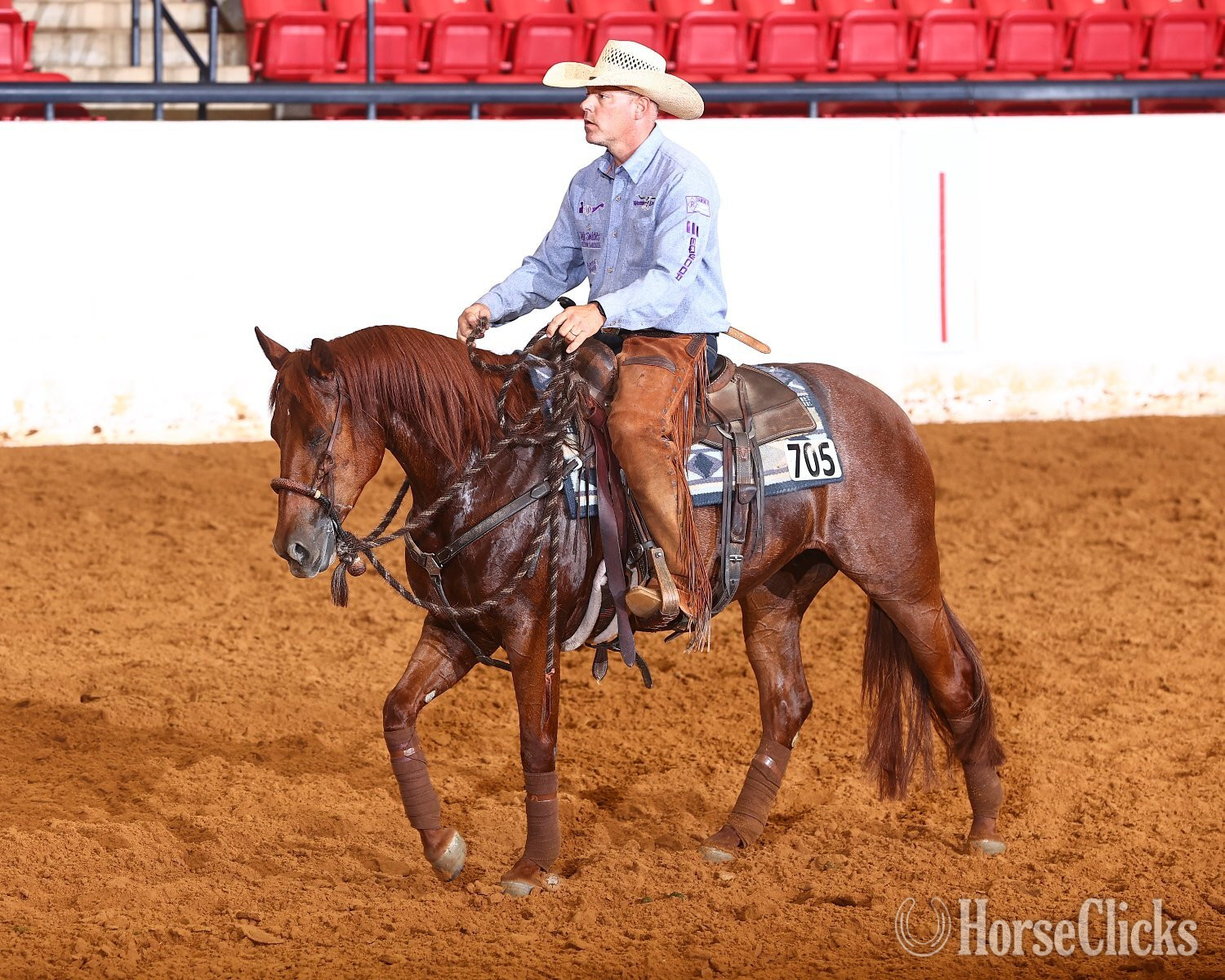 Quarter Horse - "Diamond " Sorrel Mare Quarter Horse in Texas