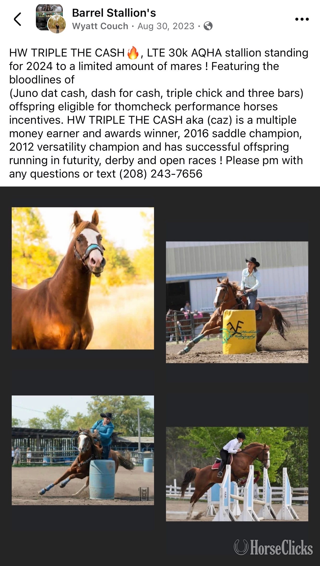Oregon "PR I GOT EM ALL " Sorrel Filly Quarter Horse