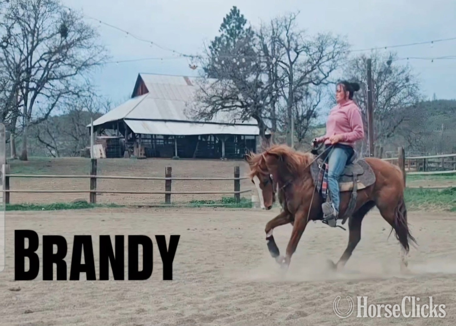 "PR I GOT EM ALL " Sorrel Filly Quarter Horse - Quarter Horse