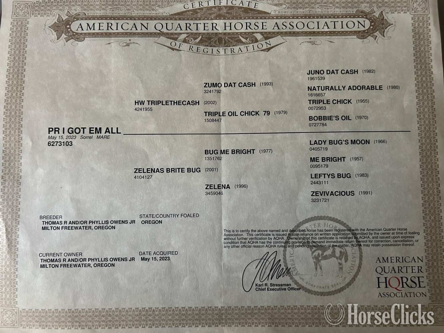 "PR I GOT EM ALL " Sorrel Filly Quarter Horse Oregon