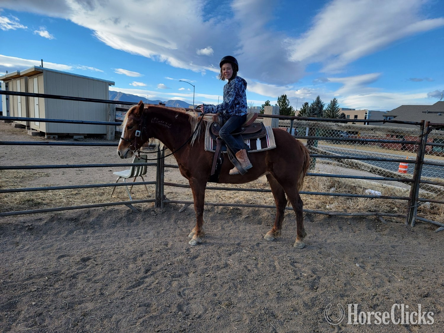 "Maggie" Chestnut Mare Mustang - Mustang