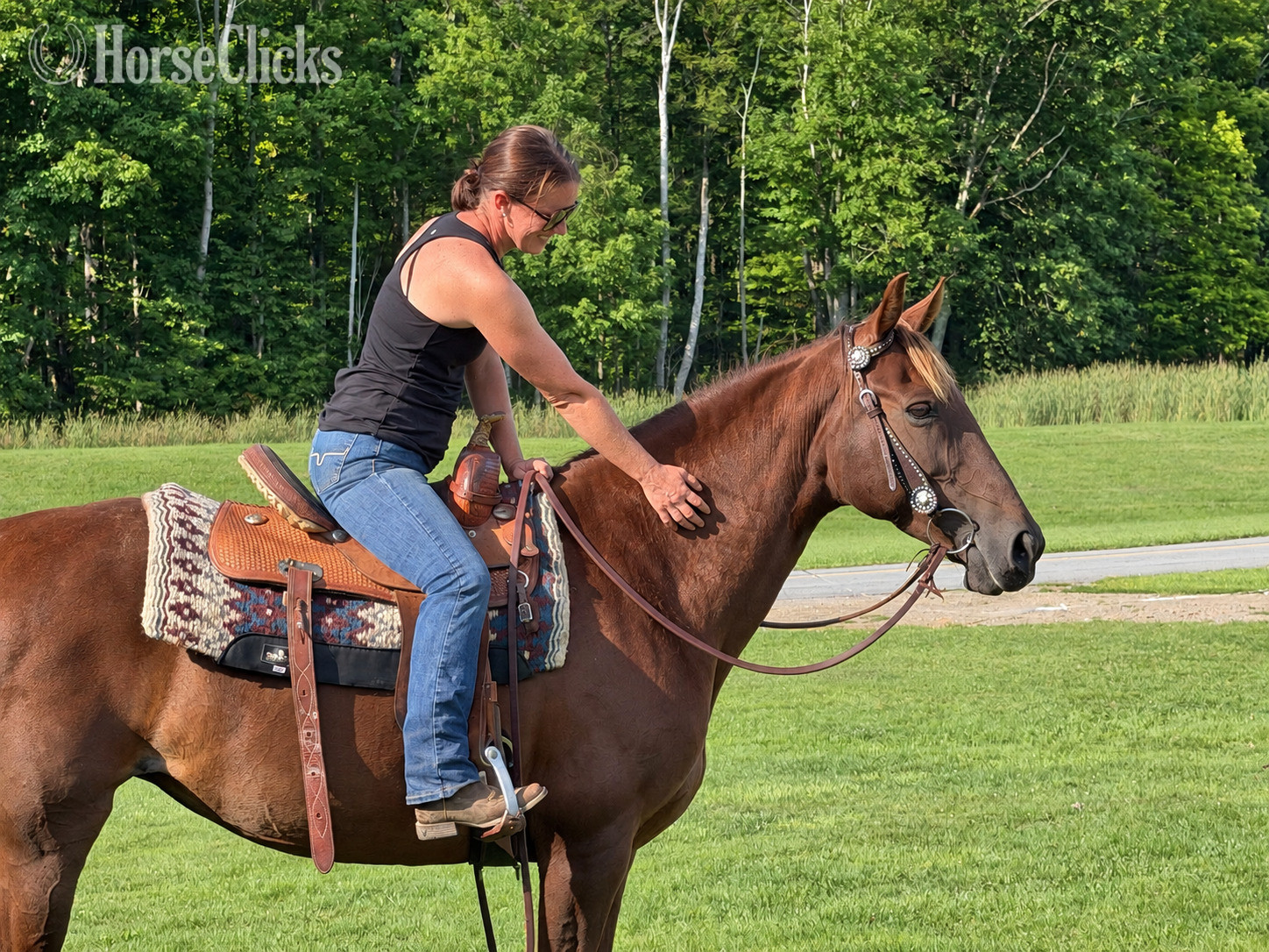 Pennsylvania "Rita" Chestnut Mare Missouri Fox Trotter