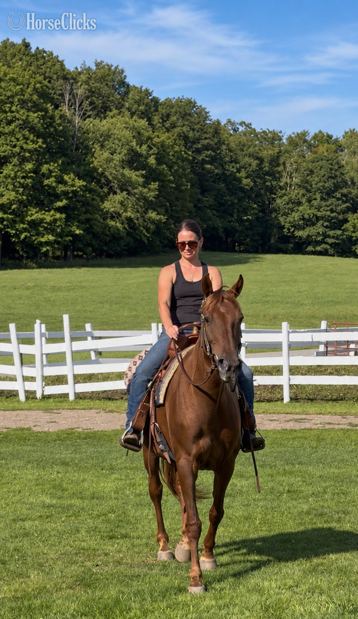 "Rita" Chestnut Mare Missouri Fox Trotter - Missouri Fox Trotter