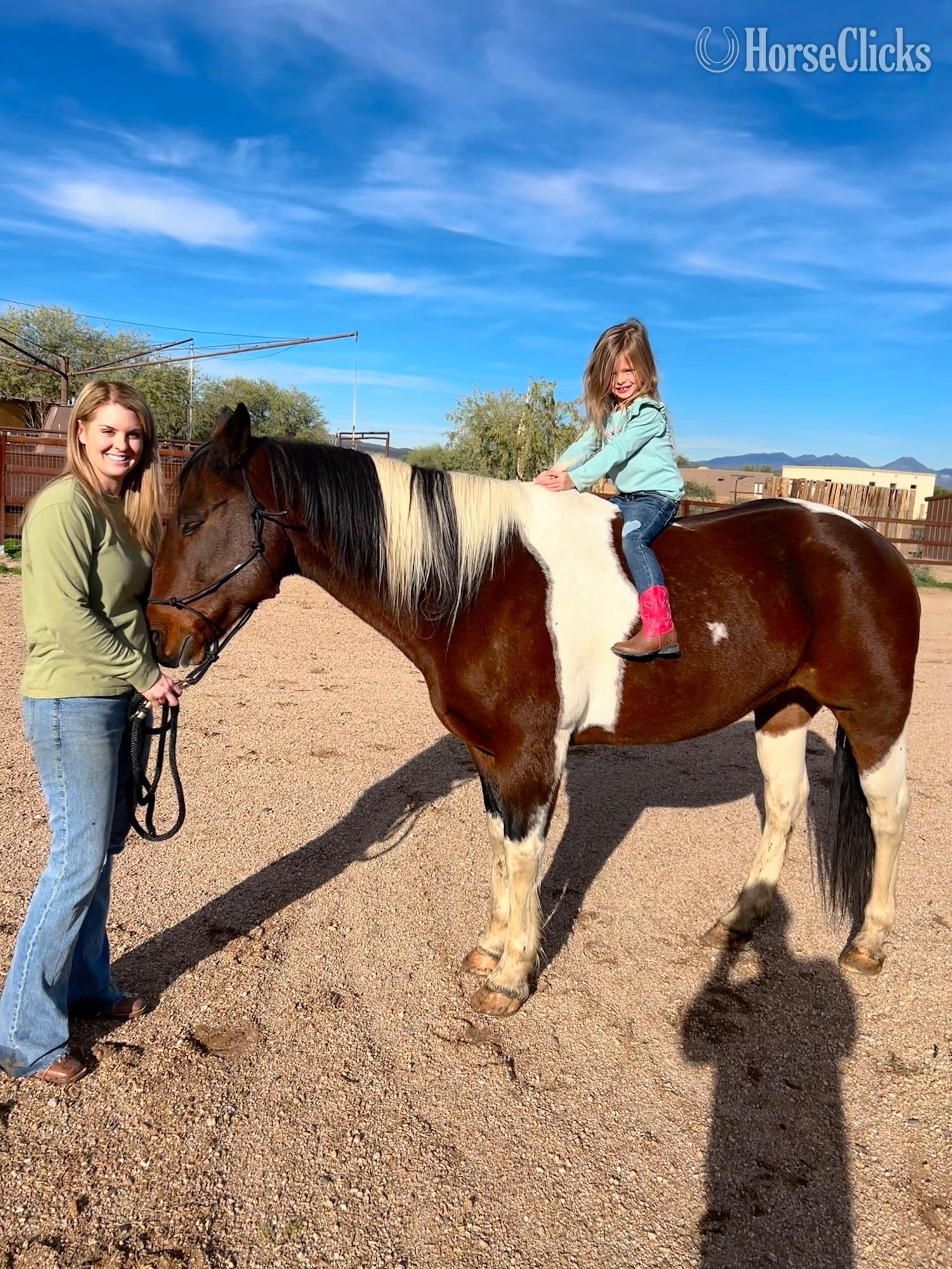 "Jimmy" Pinto Gelding Paint - Paint