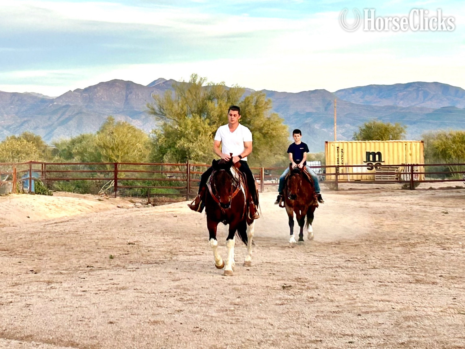 "Jimmy" Pinto Gelding Paint Arizona