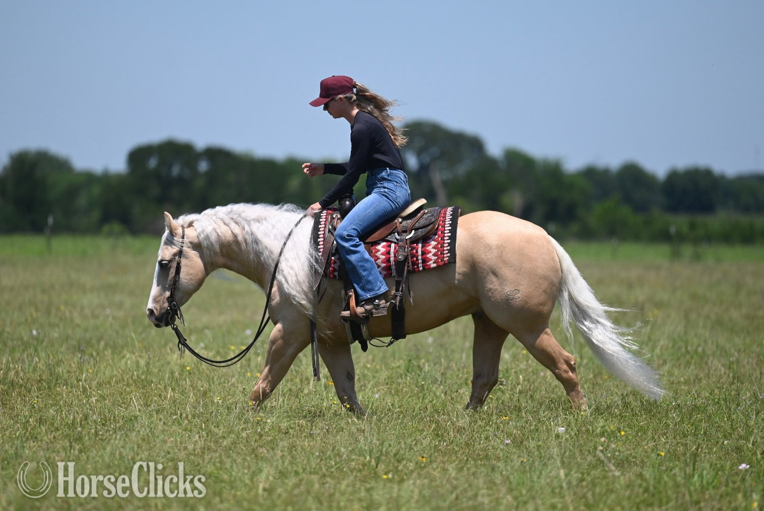 Texas "Titan" Palomino Gelding Quarter Horse