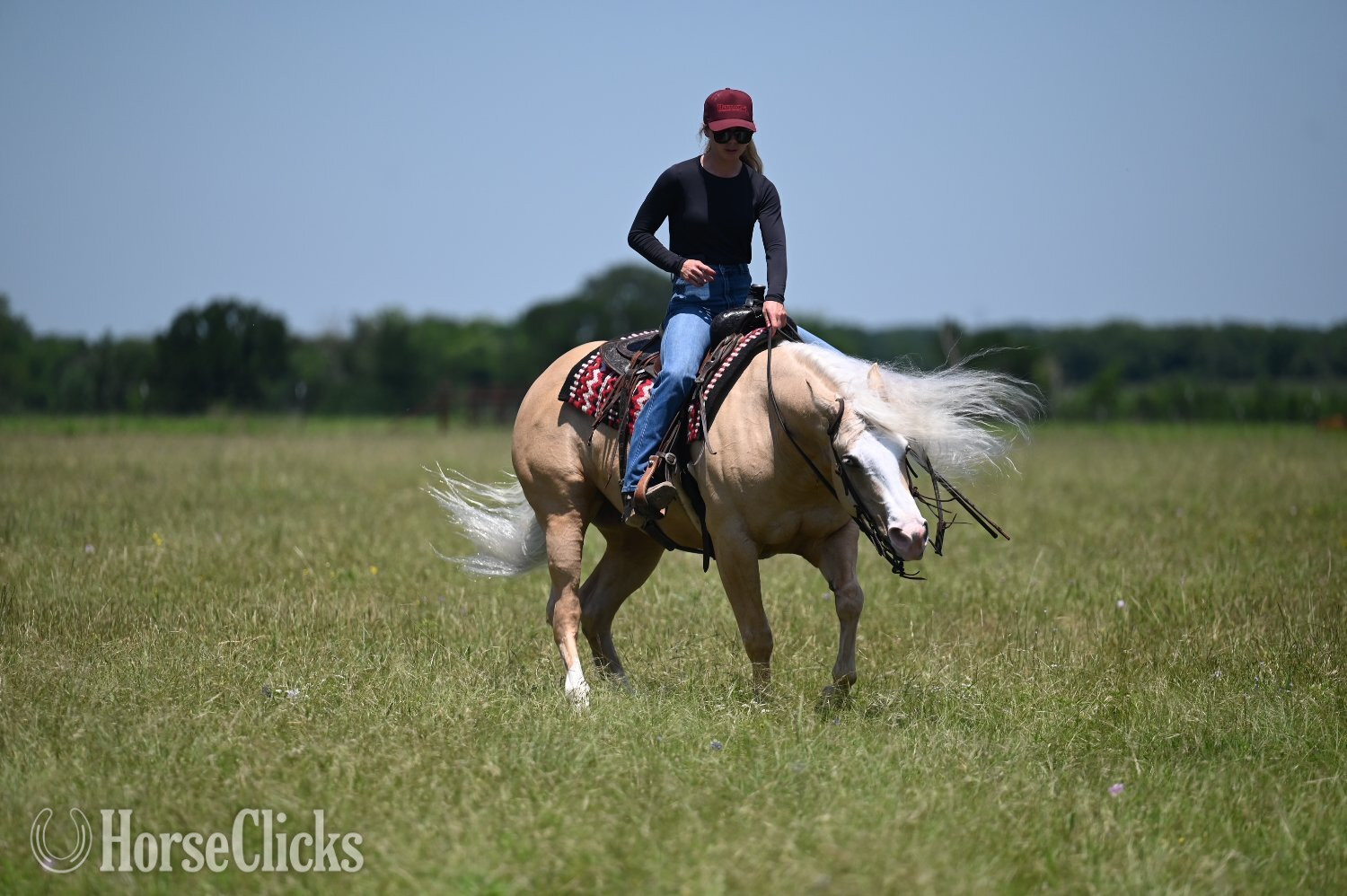 "Titan" Palomino Gelding Quarter Horse - Quarter Horse