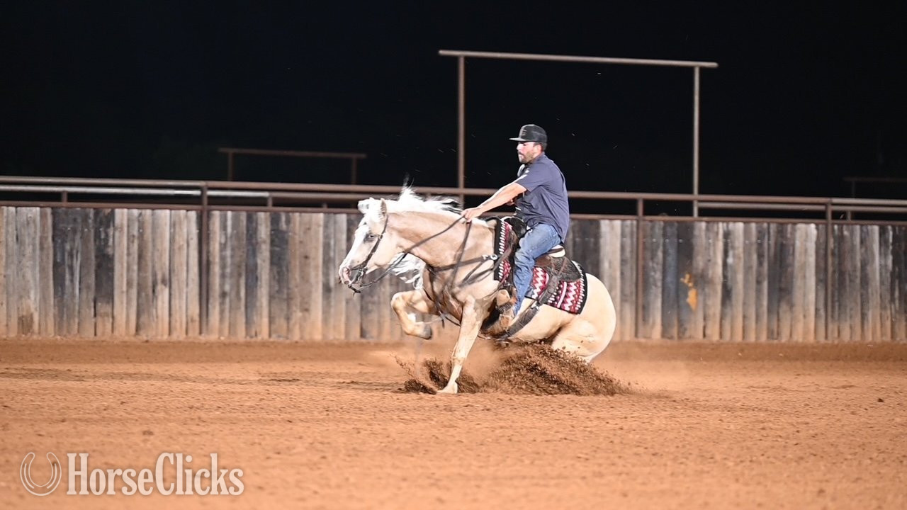 Quarter Horse - "Titan" Palomino Gelding Quarter Horse in Texas