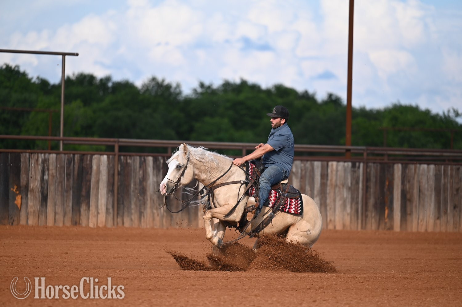 Quarter Horse - "Titan" Palomino Gelding Quarter Horse