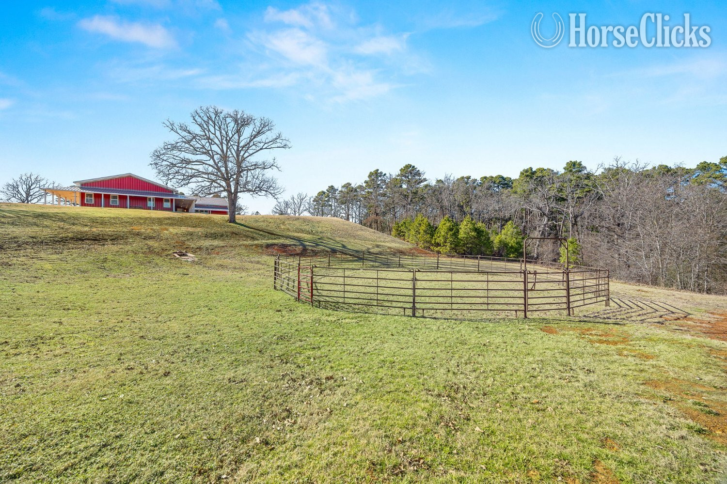 Equestrian Paradise Meets Modern Luxury