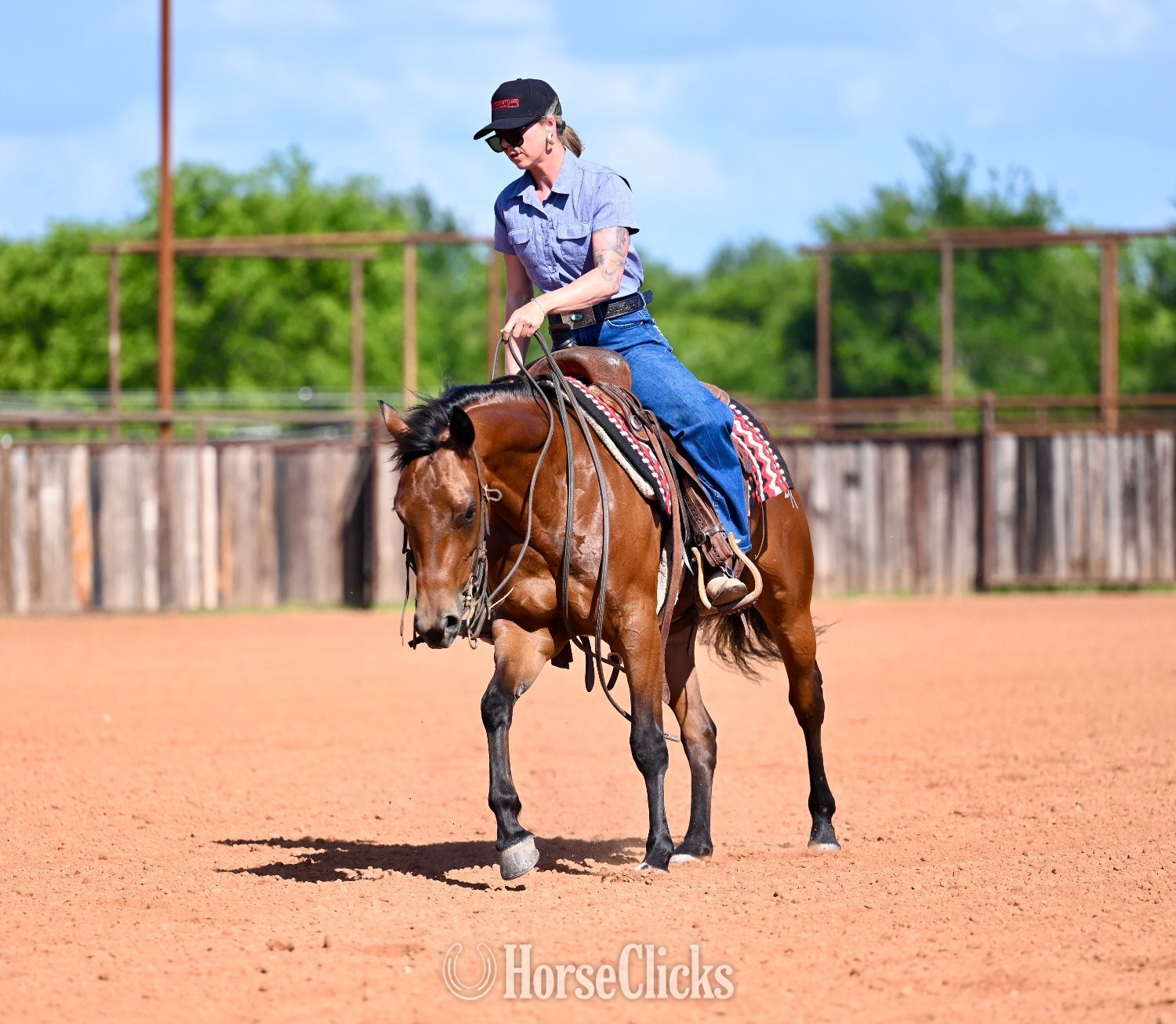 Texas "Bella" Bay Mare Quarter Horse
