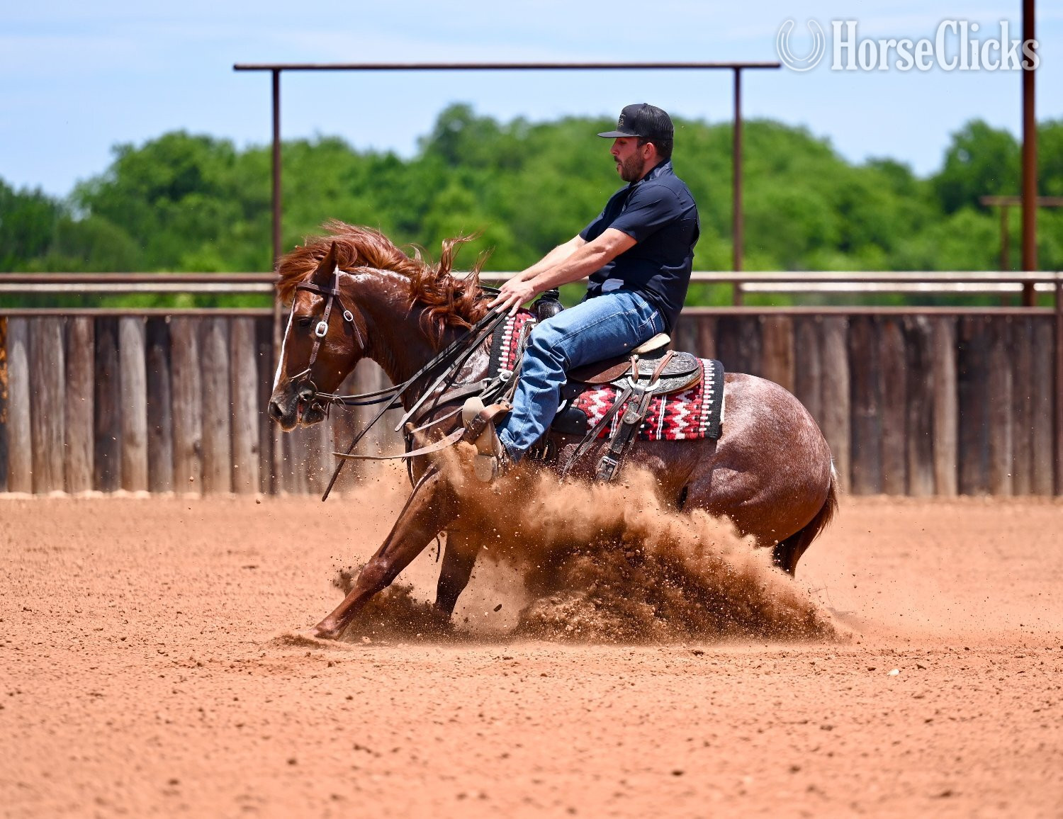 "Smarty" Sorrel Gelding Quarter Horse - Quarter Horse in Texas