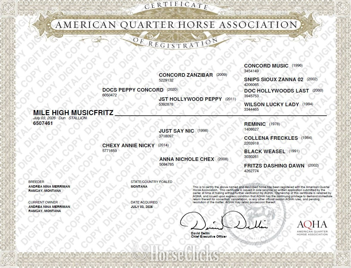 "Mile High MusicFritz " Dun Stallion Quarter Horse