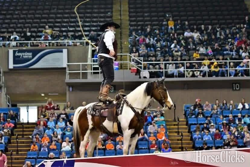 "RAWHIDE" Tri-Color Gelding Mustang - Mustang