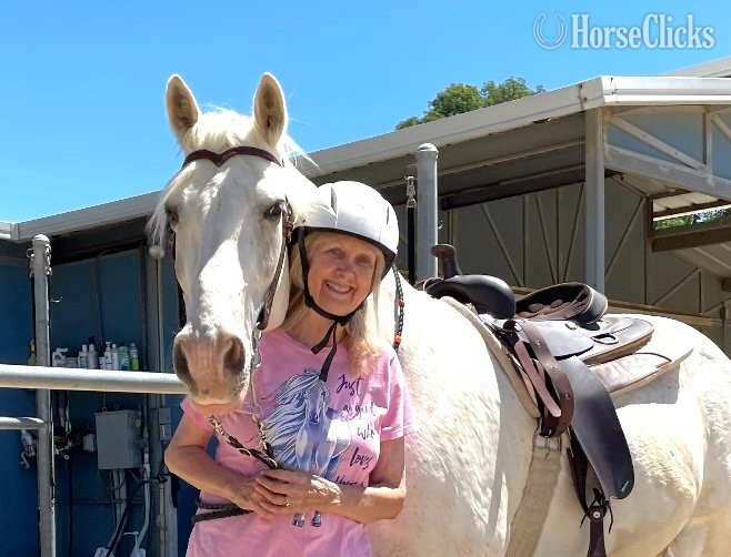 "Bud's High Cotton ("Cynder-fella")" White Gelding Tennessee Walker