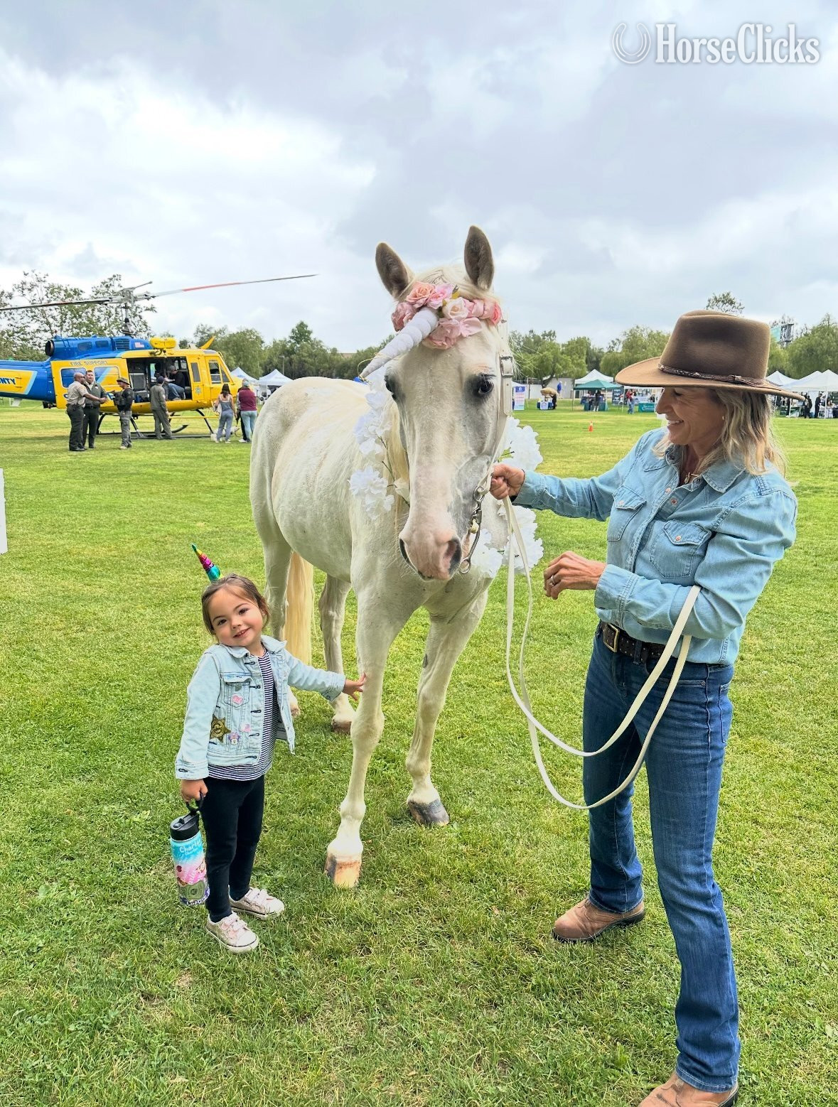 California "Bud's High Cotton ("Cynder-fella")" White Gelding Tennessee Walker