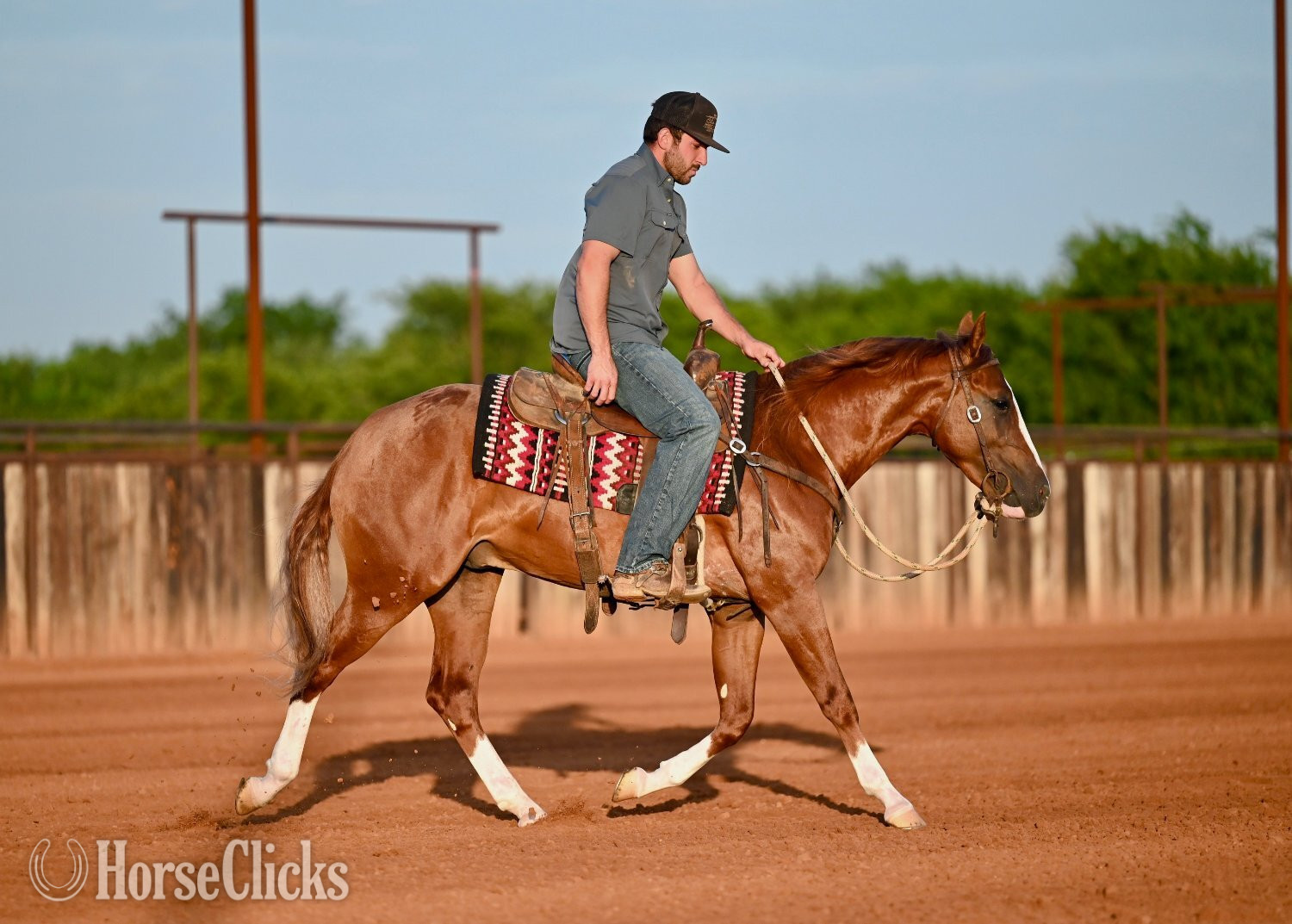 "Preacher" Sorrel Stallion Quarter Horse Texas