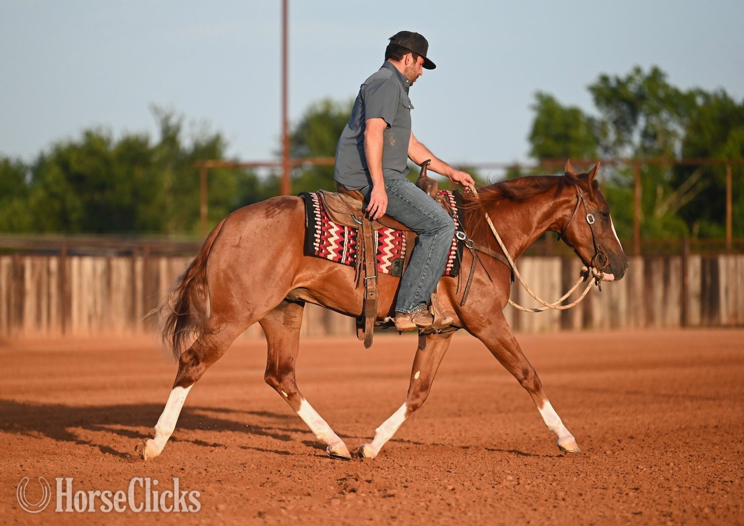 Quarter Horse - "Preacher" Sorrel Stallion Quarter Horse in Texas