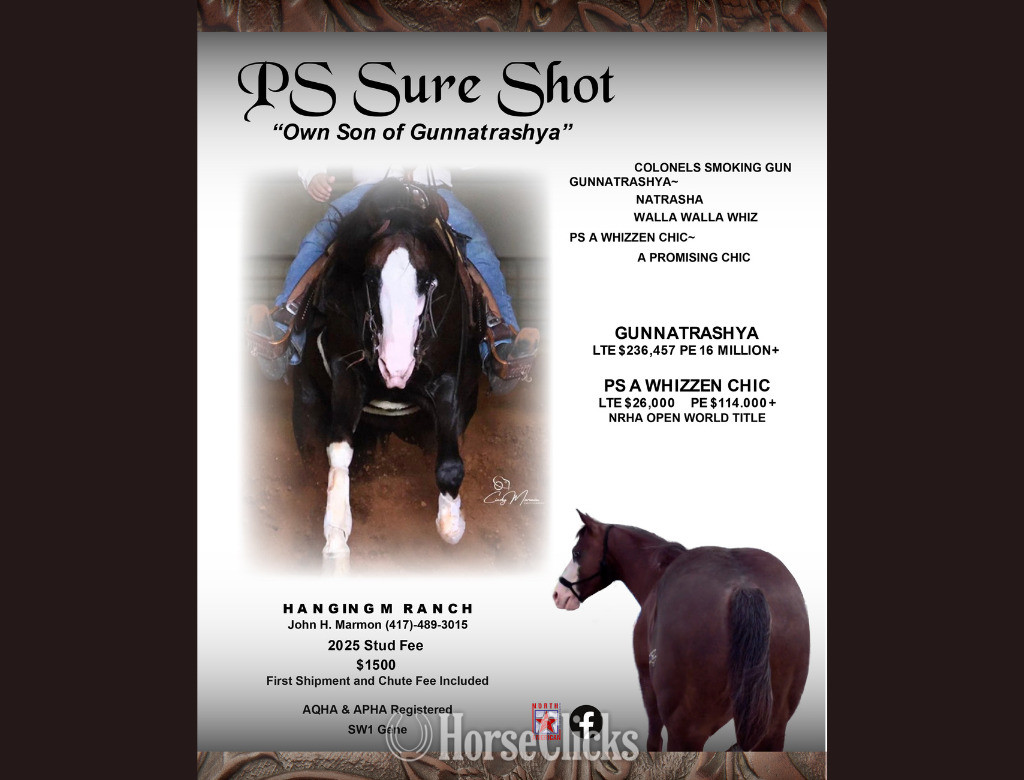 Missouri "Shesa Sassy Gunner" Sorrel Mare Quarter Horse