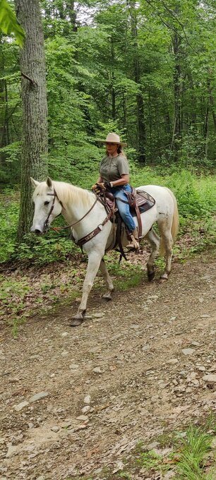 "Levi" White Gelding Mustang