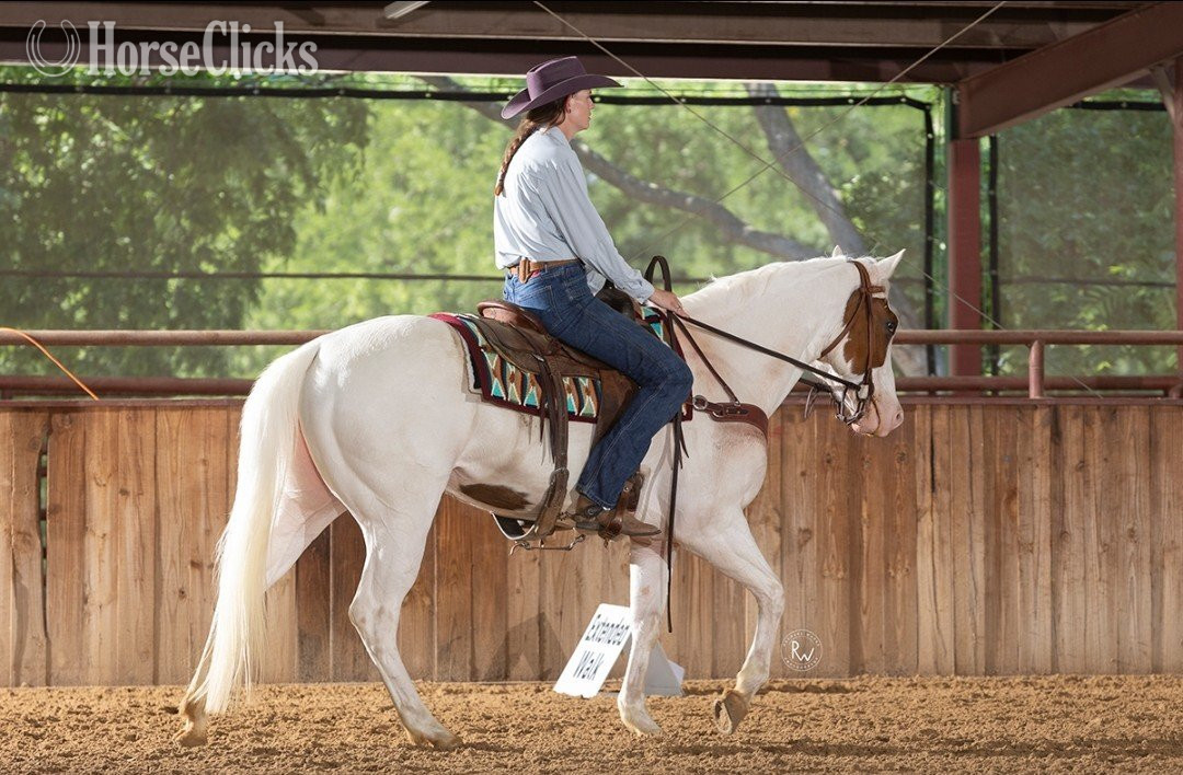 "LOOK N FOR A SPOT" Piebald Mare Paint - Paint