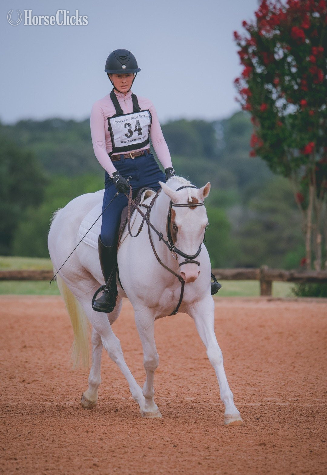 Paint - "LOOK N FOR A SPOT" Piebald Mare Paint in Texas