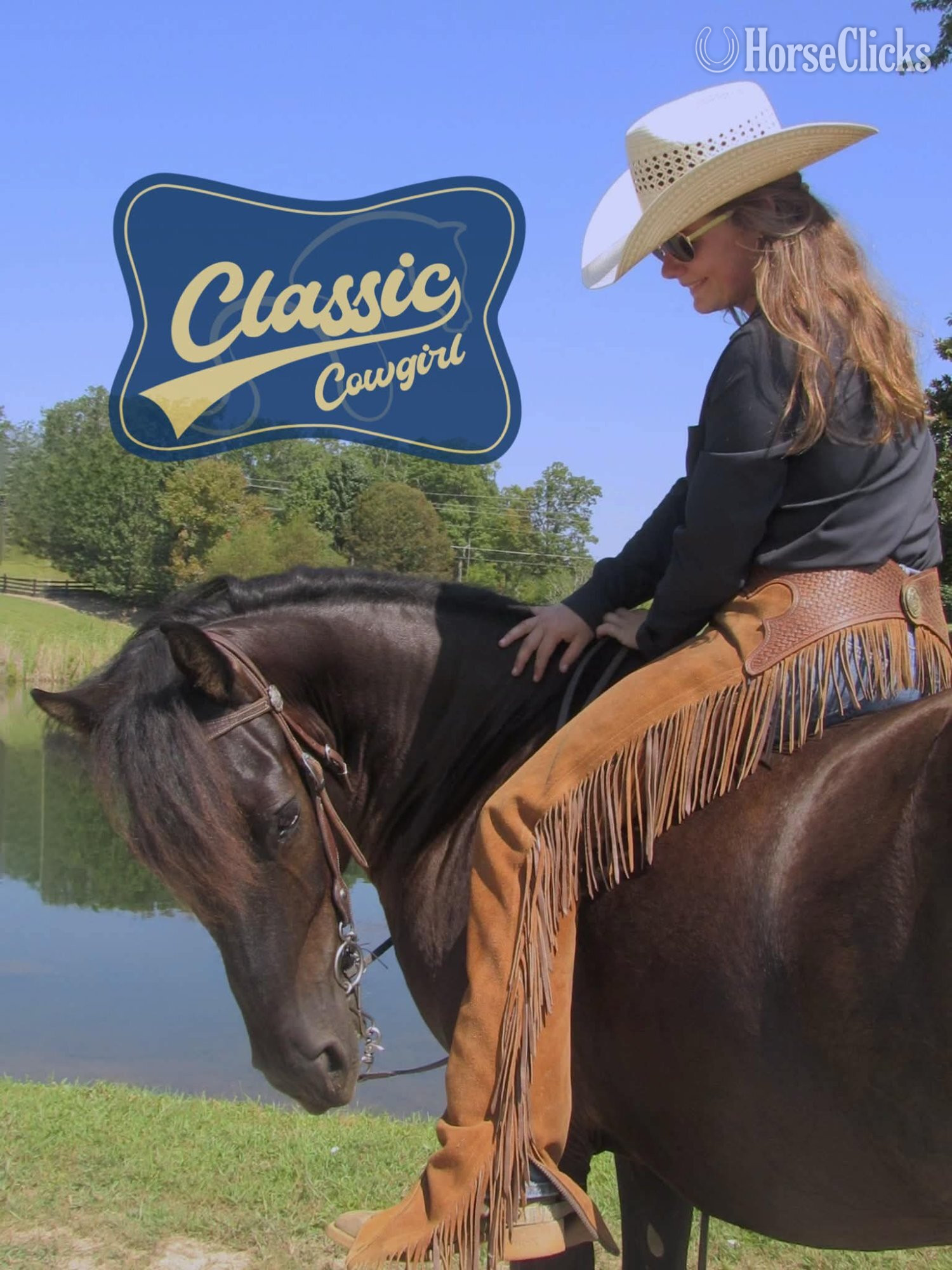 "OBAMA" Black Gelding Rocky Mountain