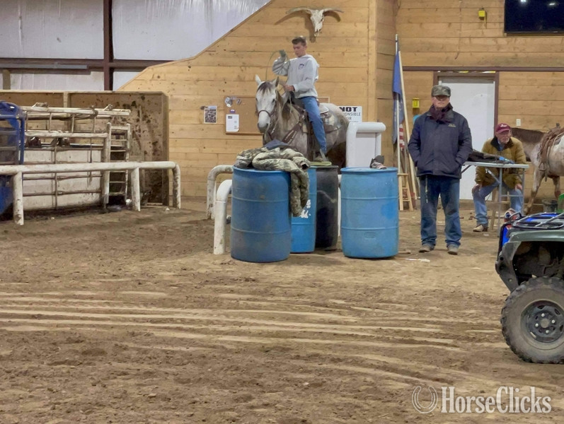 "Quarterback" Grey Gelding Quarter Horse Texas