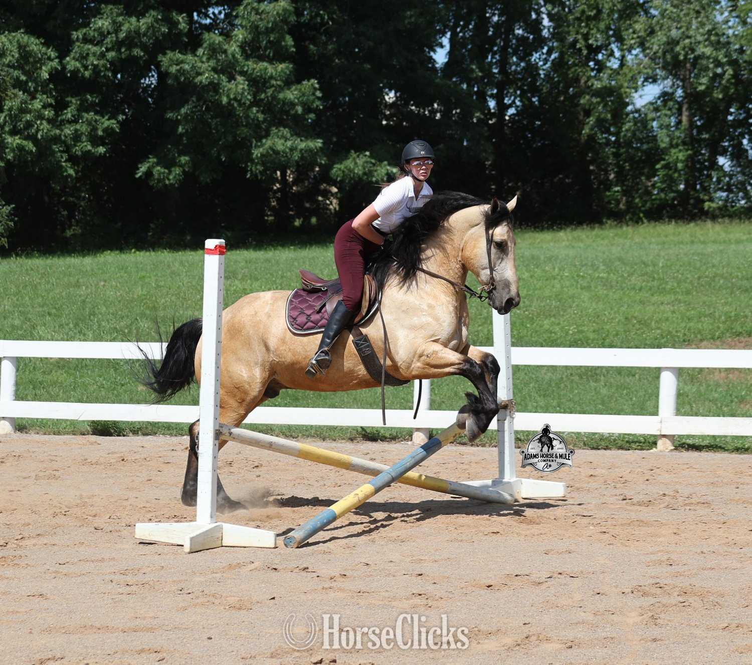 "" Buckskin Gelding Draft - Draft in Michigan