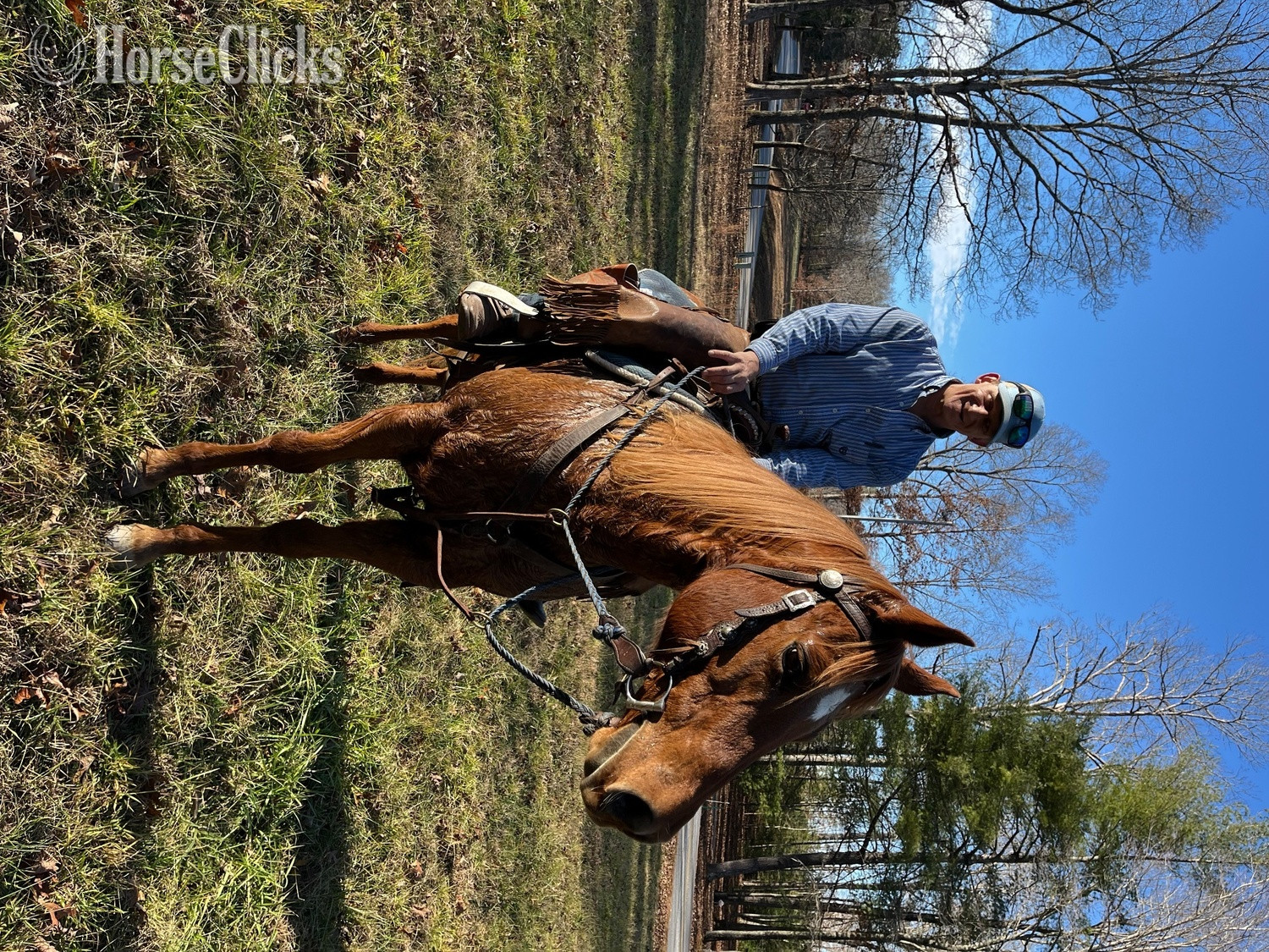 Georgia "Duchess" Sorrel Mare Quarter Horse