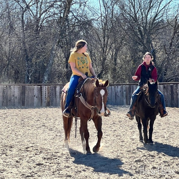 "Dr. Pepper" Chestnut Gelding Quarter Horse