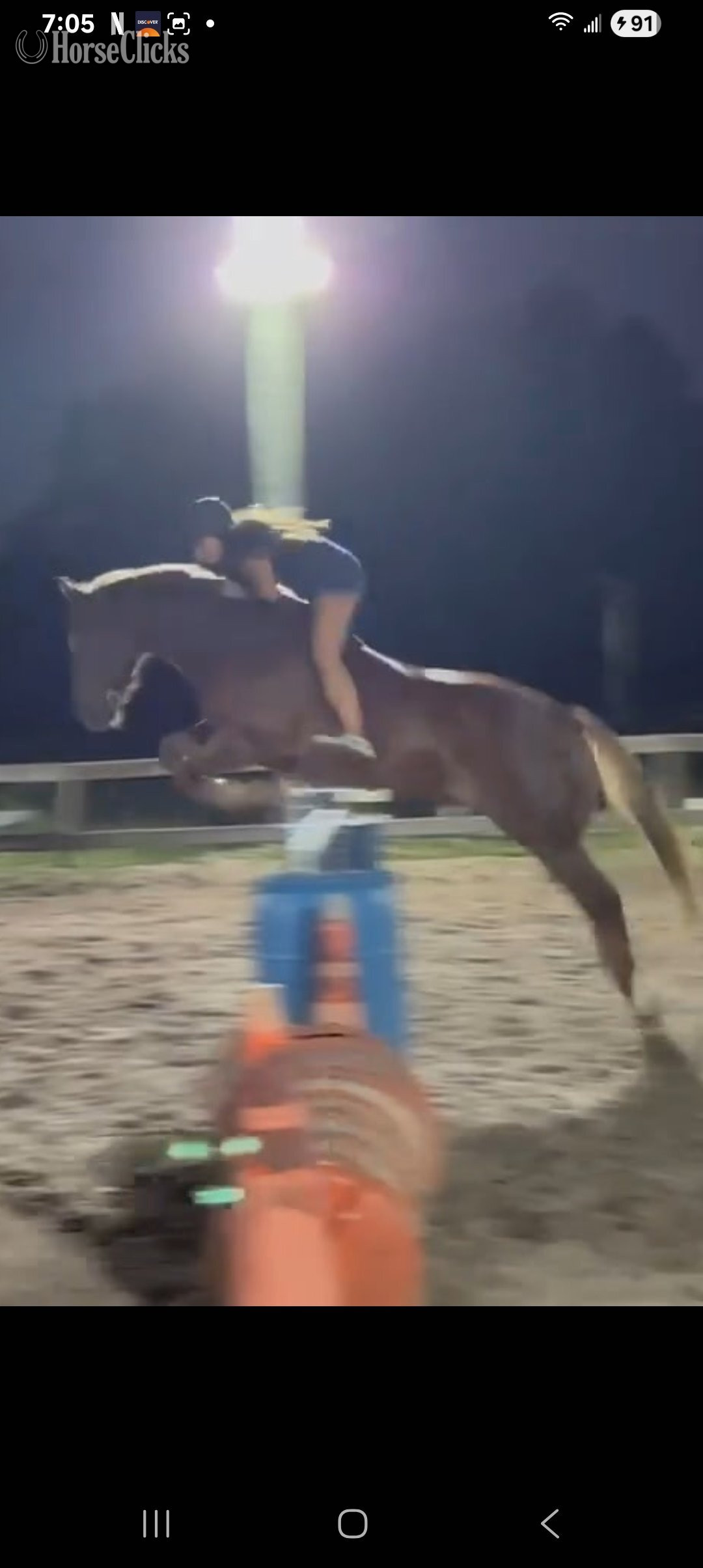 "Petey" Chocolate Gelding Quarter Horse