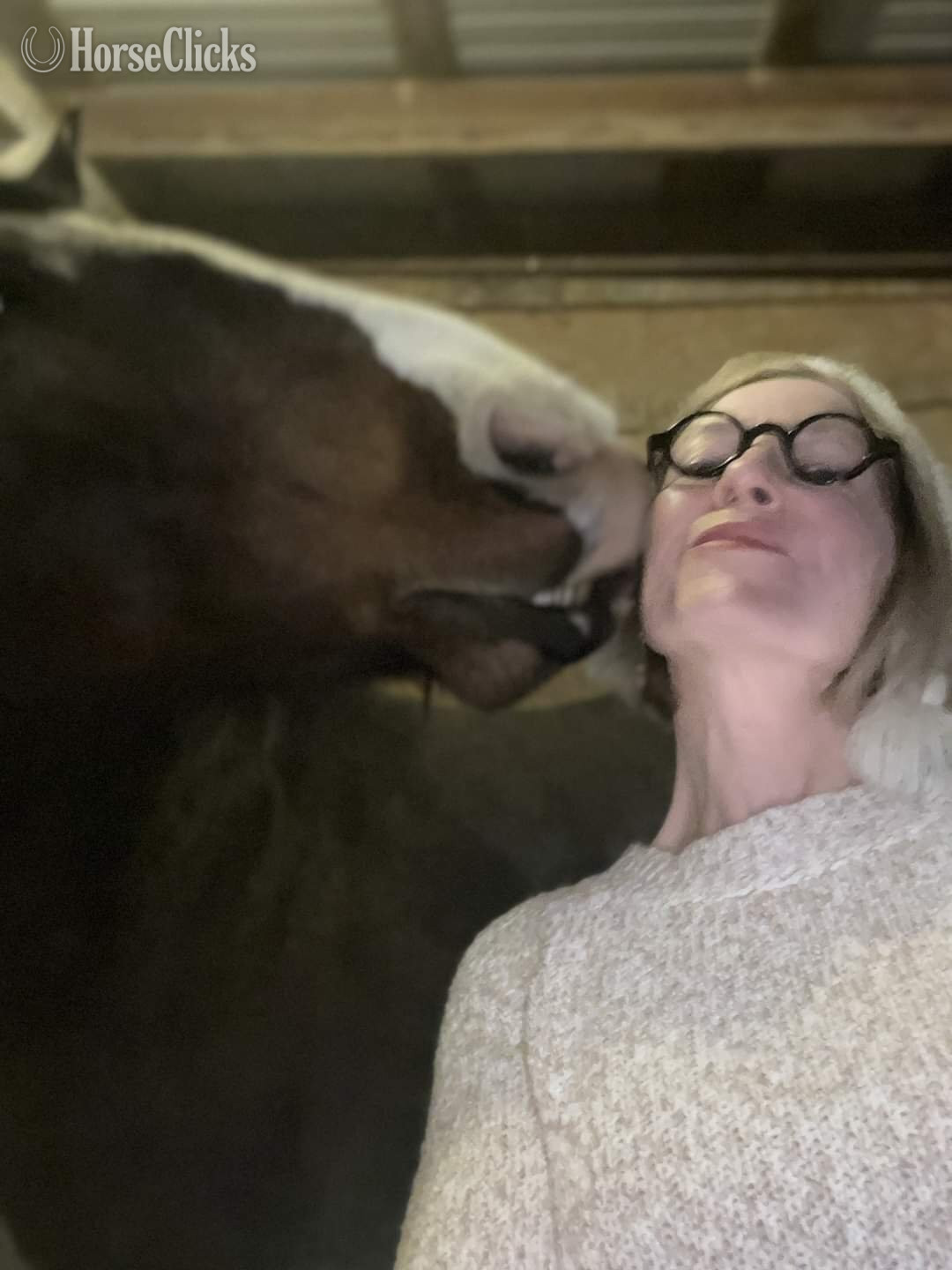 "DUCHESS" Bay Mare Percheron in Colorado