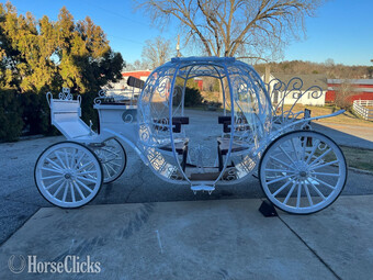 !!!BRAND SPANKIN NEW CINDERELLA!!!