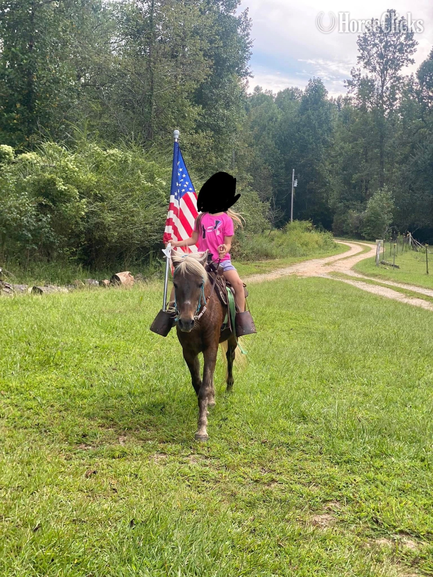 "Cutie Pie?" Silver Bay Mare Pony - Pony
