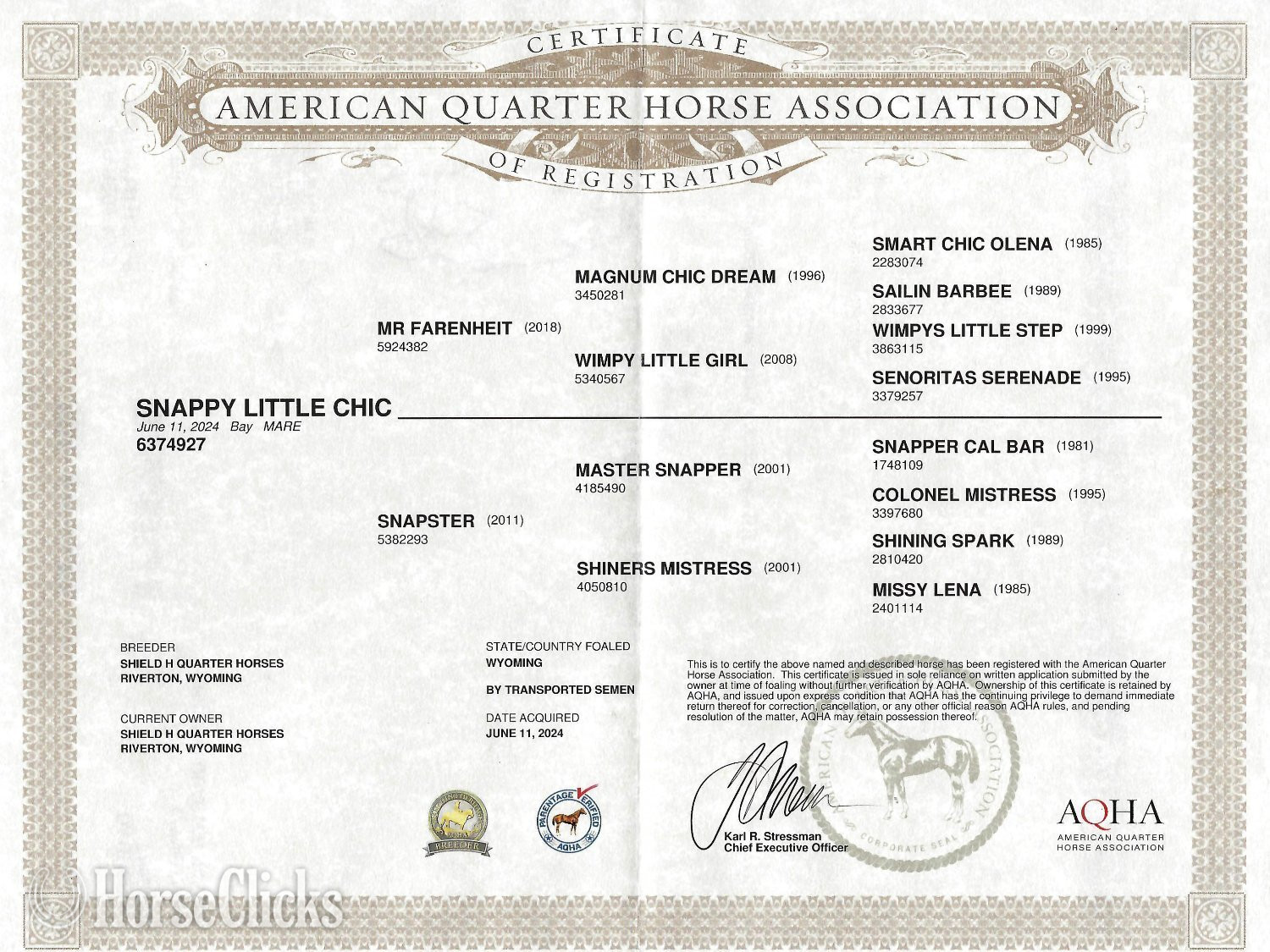 "Snappy Little Chic" Bay Mare Quarter Horse in Wyoming
