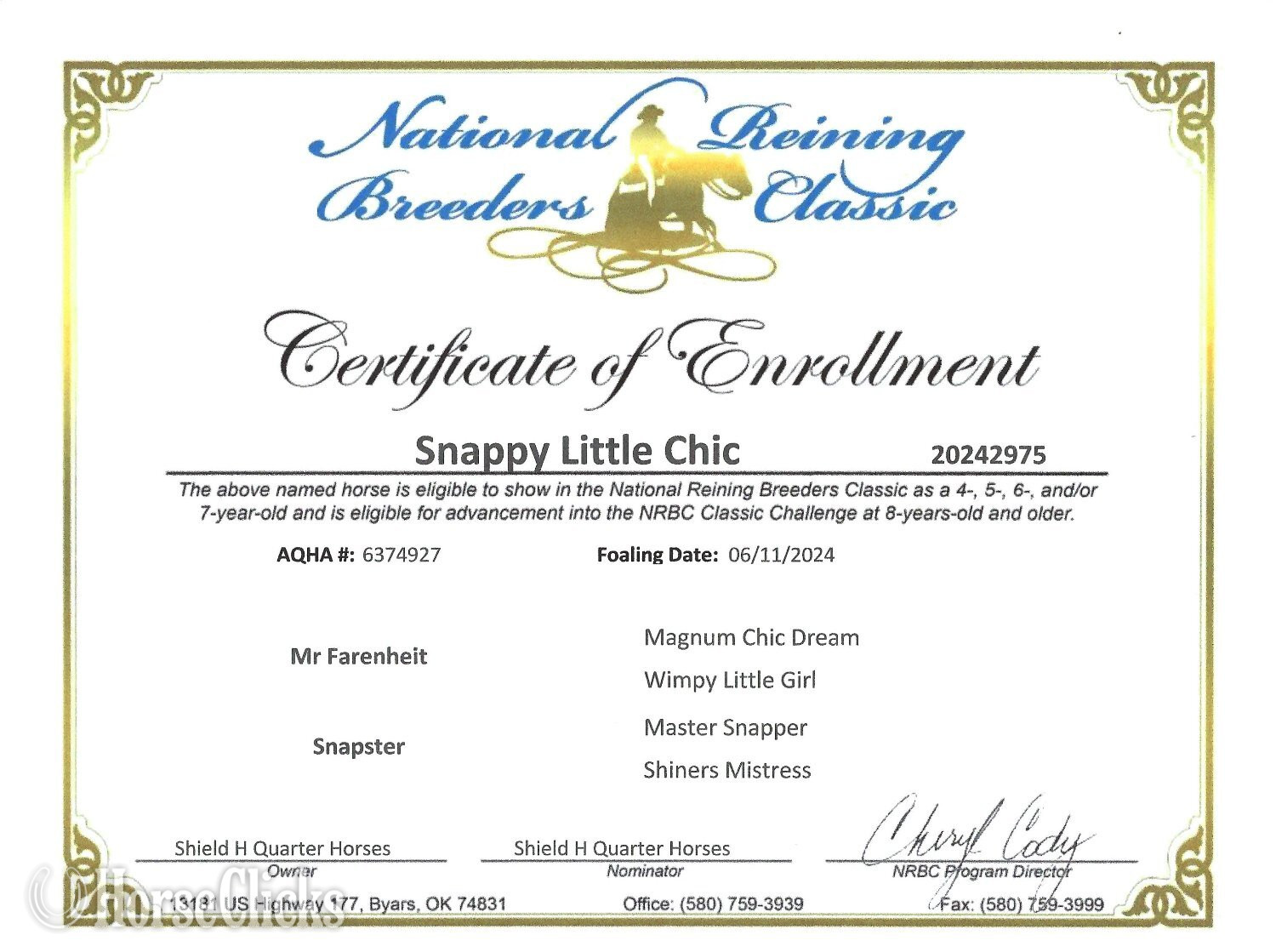 Wyoming "Snappy Little Chic" Bay Mare Quarter Horse