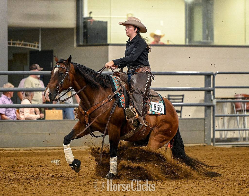 "Snowy Yuba" Bay Gelding Quarter Horse in Illinois