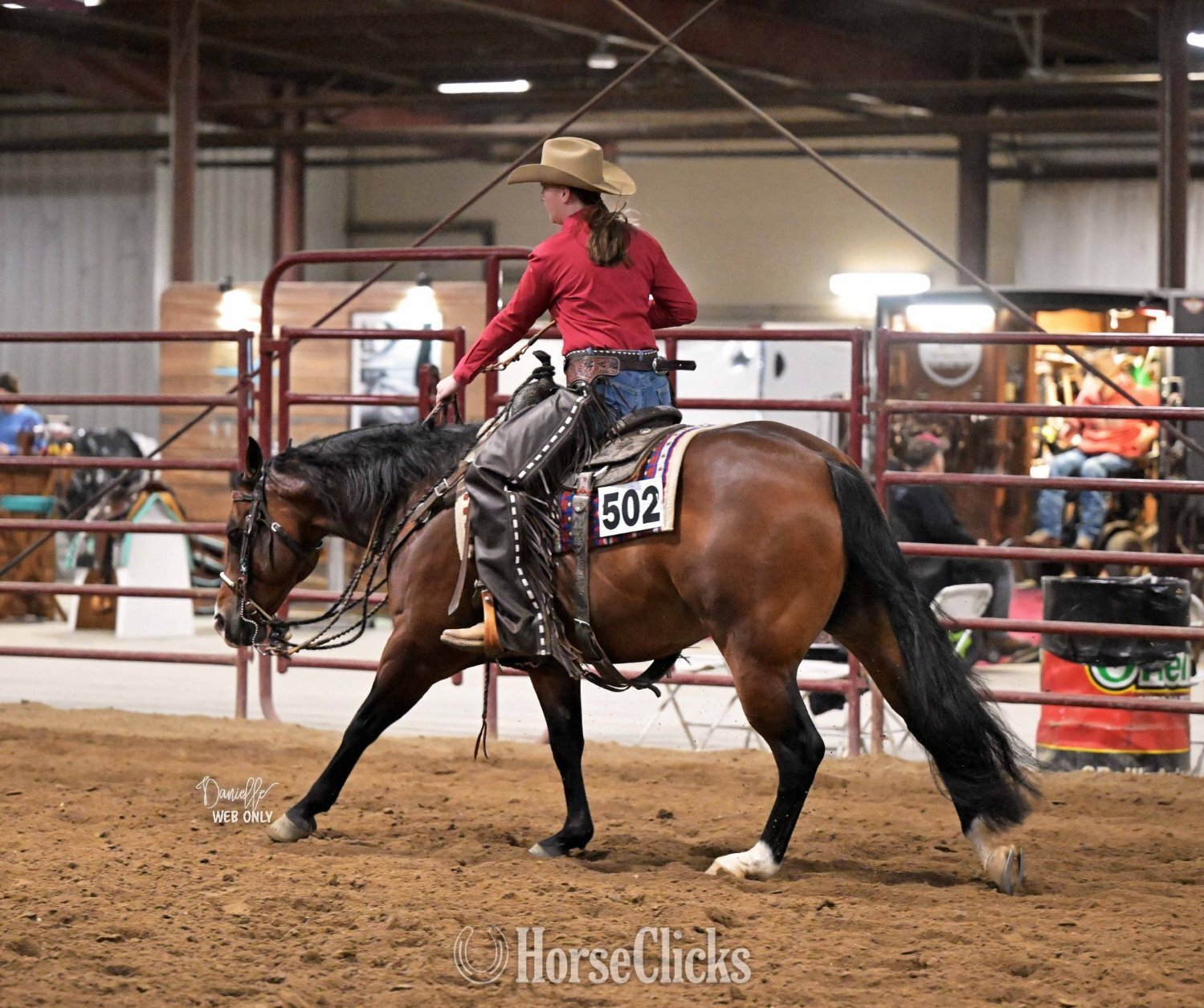 "Snowy Yuba" Bay Gelding Quarter Horse