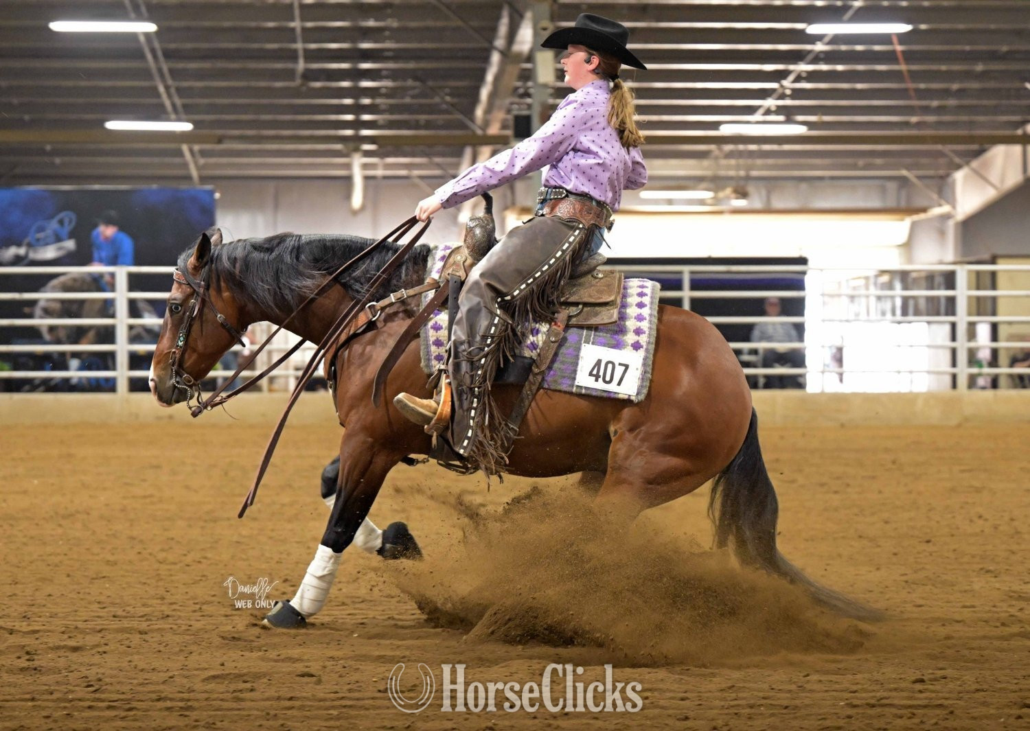 Illinois "Snowy Yuba" Bay Gelding Quarter Horse