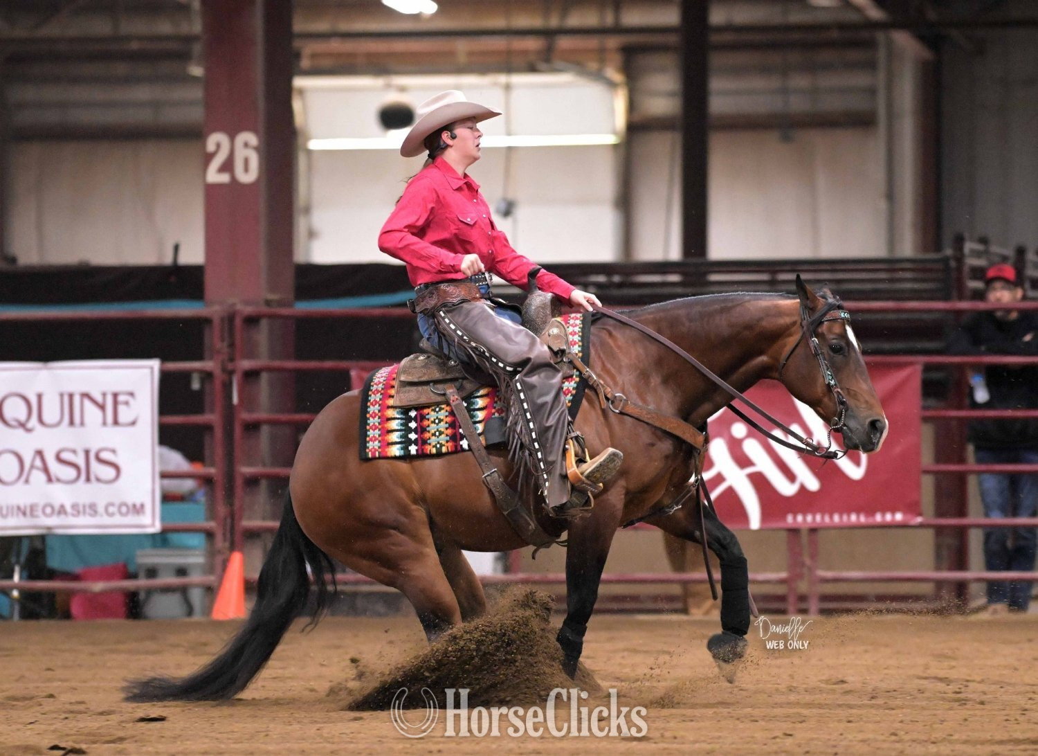 "Snowy Yuba" Bay Gelding Quarter Horse - Quarter Horse