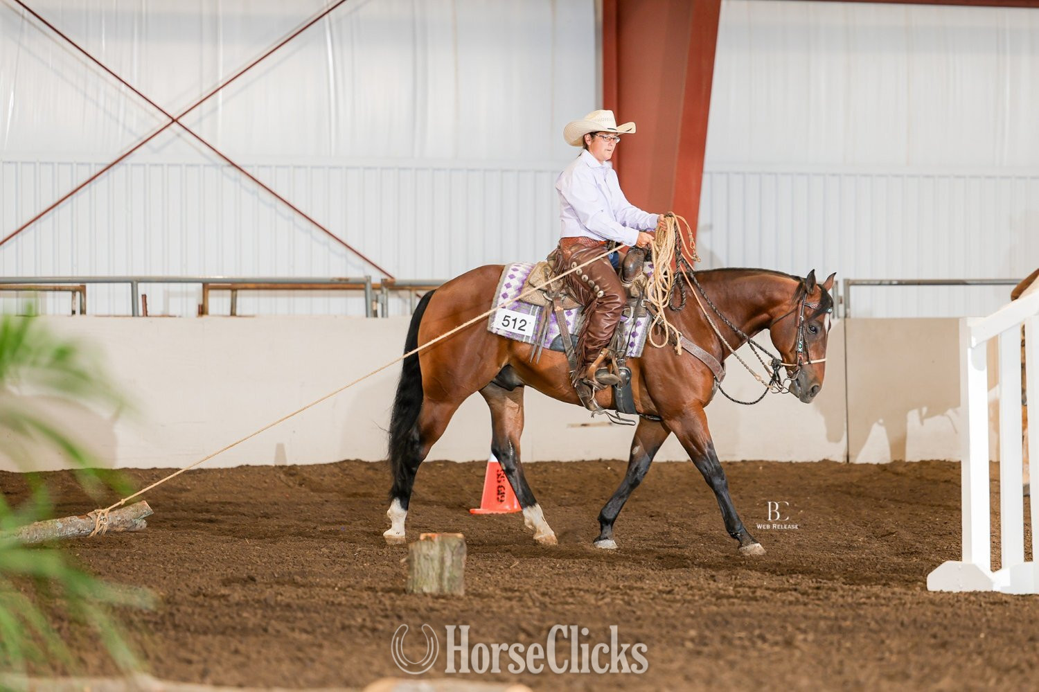 "Snowy Yuba" Bay Gelding Quarter Horse Illinois