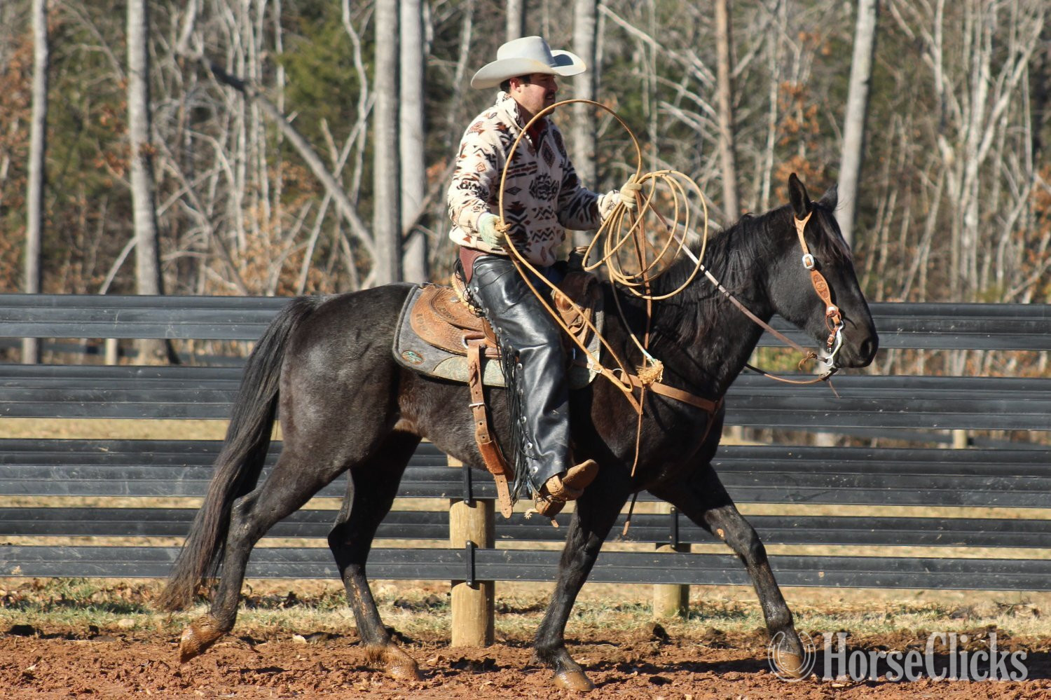 "GATOR" Blue Roan Gelding Quarter Horse - Quarter Horse in North Carolina