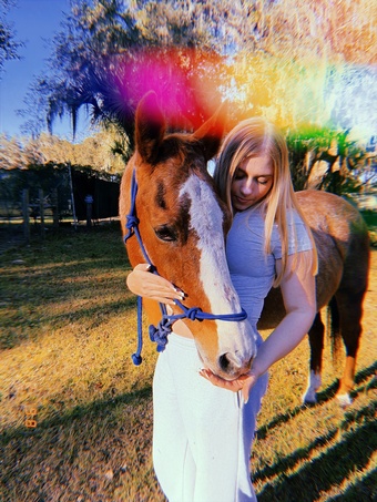 "Faith" Red Roan Mare Quarter Horse