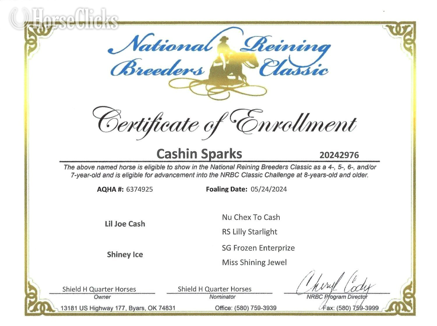"Cashin Sparks" Palomino Colt Quarter Horse