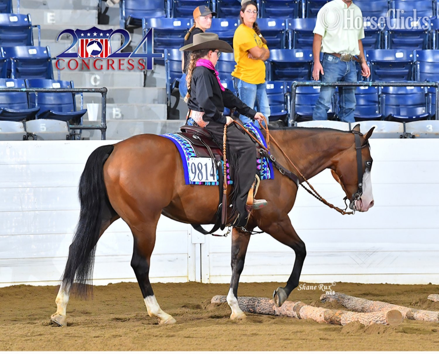 Illinois "Hessmokedman" Bay Gelding Quarter Horse